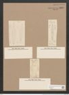 Frustulia rhomboides (Ehr.) De-Toni (de-Toni-Nr.: Genus 19, Species 1159) Zeichnungen Sammlung Grunow Nr. 2259 (NHMW-BOT-W0369366)